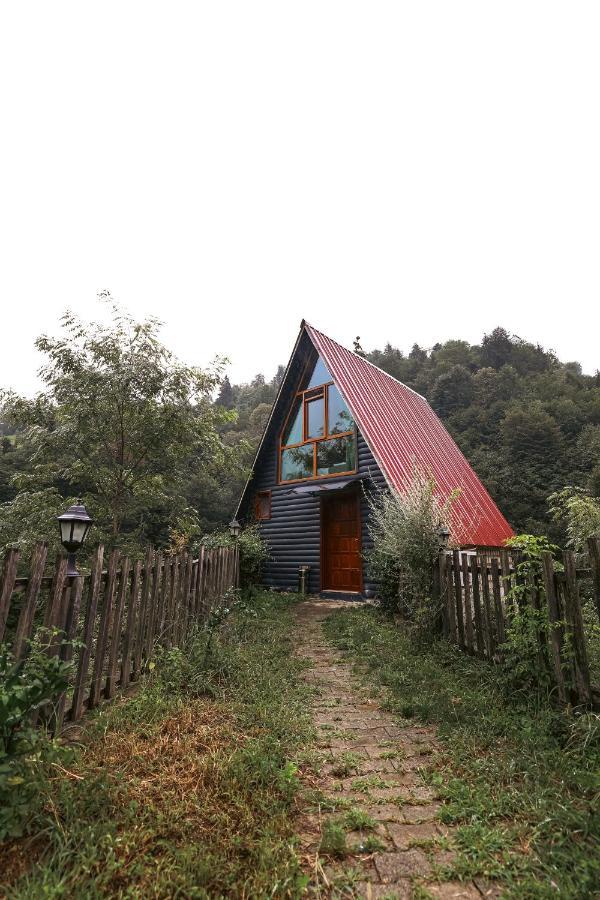 bungalove tatil köyü Çamlıhemşin Kültér fotó